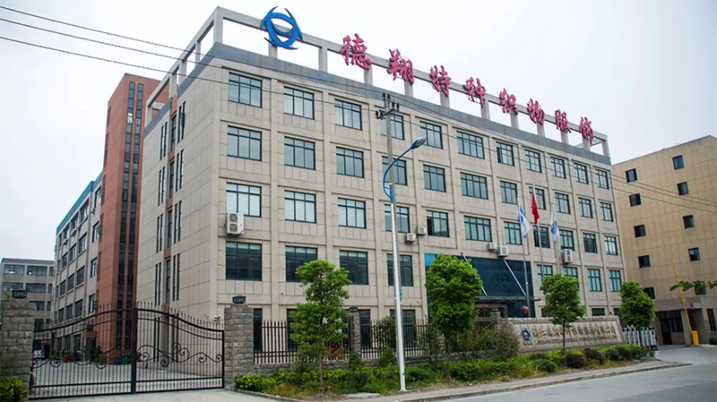 DOMEX: Decades of Expertise, Global Safety Solutions